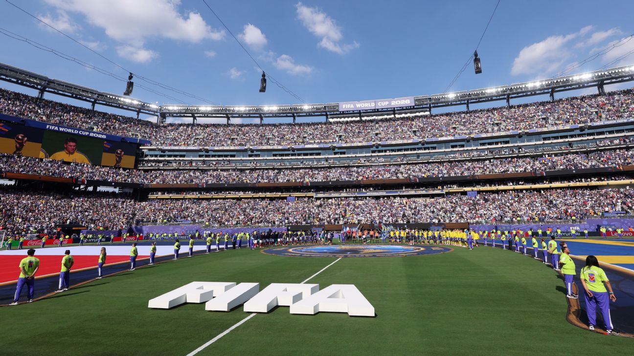 FIFA出售2026世界杯决赛球场草皮 每块标价450美元